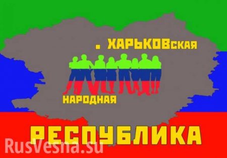 Глава ХОГА боится, что Харьков станет столицей Новороссии