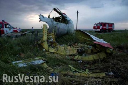 DPA: Власти Германии знали об опасности полетов над Донбассом до крушения Boeing-777, но не проинформировал авиалинии
