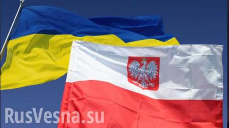 Польша озвучила новые исторические претензии к Украине