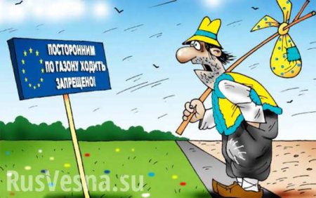 Мир начинает отбиваться от Украины, как от назойливой мухи, — Ющенко