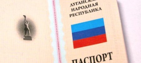 Почти 400 жителей Республики в течение месяца получили паспорт ЛНР