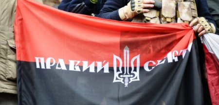 Львов: боевики «Правого сектора» кричали «Порошенко — х...ло»