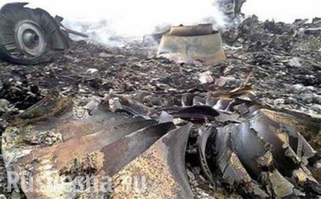 СМИ: За информацию о сбитом над Украиной Boeing потребовали 47,6 млн долларов