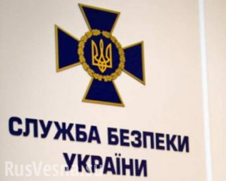 СБУ задержала грузовики с продовольствием и медикаментами для Донбасса