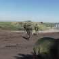 Ополченцы ДНР провели занятия по управлению огнем батальонно-тактической группы (ФОТО)
