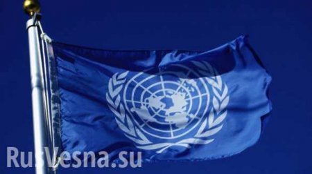 ООН дала высокую оценку гуманитарной помощи России жителям Донбасса (ВИДЕО)
