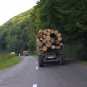 Москаль соврал: лес в Закарпатье по-прежнему вывозят машинами (ФОТО)