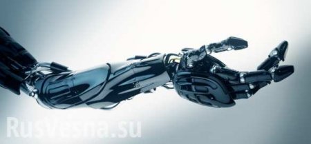 В Москве объявлен конкурс на создание искусственных мышц для роботов