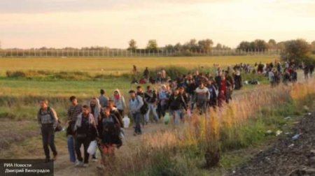 Украинские беженцы могут добить ЕС