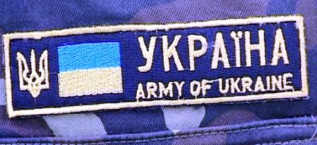 Полторак: Численность украинской армии за год удвоилась