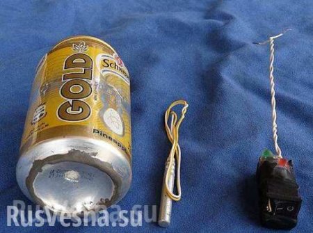 Фото бомбы с A321 свидетельствует, что ее изготовили в Египте, — эксперт