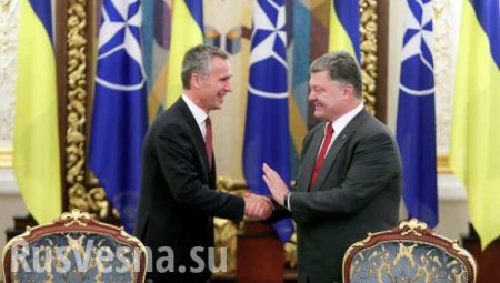 Киев просит защиты у НАТО