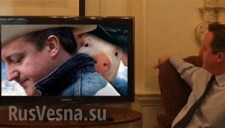 Пользователи соцсетей высмеяли Дэвида Кэмерона за фото с телевизором (ФОТО)