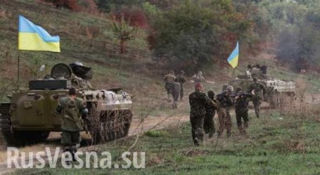 Киев пытается сорвать «Минск-2», — Минобороны ДНР