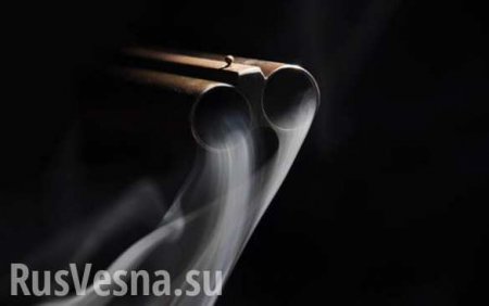 Оленеводы выясняли с менеджерами «Газпрома», кто хозяин тундры, — новые подробности перестрелки на Ямале (ВИДЕО)