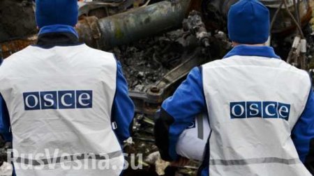 Киев готовит группы диверсантов для нападений на миссию ОБСЕ в ДНР, — Минобороны