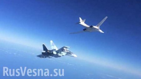 В Совфеде заявили, что Турция нарушила международные обязательства, запретив полет российских наблюдателей