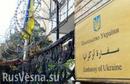 Украинские дипломаты покинули Сирию