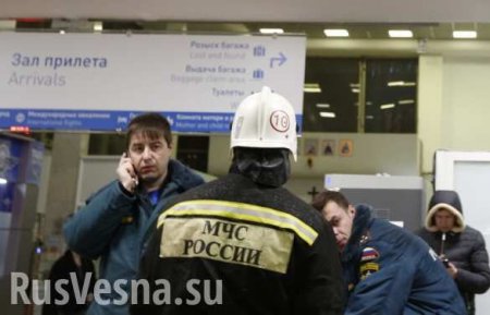 На месте авиакатастрофы в Ростове работают более 800 человек (ВИДЕО)