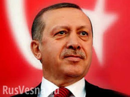 Эрдоган заявил, что в Сирии необходимо создать «зоны, свободные от терроризма»