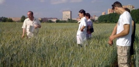 Страсти по Тимирязевке — Правительство собирается застроить уникальные поля сельхозакадемии