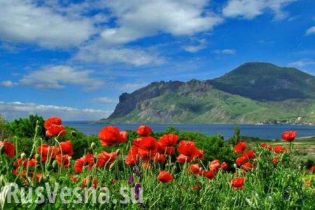 Крым могут посетить 7,5 млн туристов