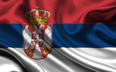 Пророссийская партия «Двери» все-таки проходит в парламент Сербии, — источник