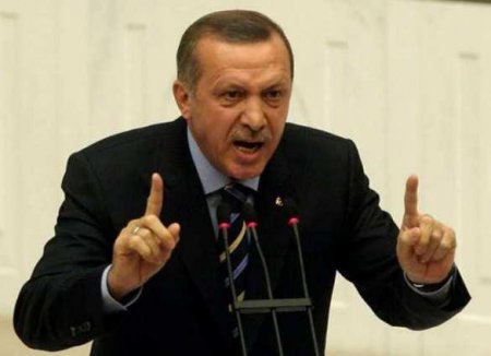 Попытки Эрдогана превратить Турцию в президентскую республику вызвали кризис — глава комитета СовФеда