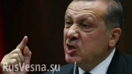 Запад больше волнуют геи и животные, чем сирийцы, — Эрдоган