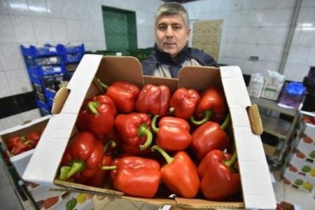 Россия прекращает ввоз салата из Турции, также может запретить и оставшиеся овощи