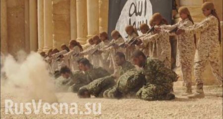 В Пальмире обнаружено массовое захоронение — след зверских казней ИГИЛ