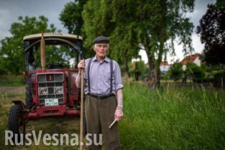 Продэмбарго РФ драматично сказалось на немецких фермерах, — Восточный комитет