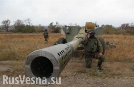 Боевики Киева обстреляли из тяжелых орудий оккупированную ВСУ Красногоровку