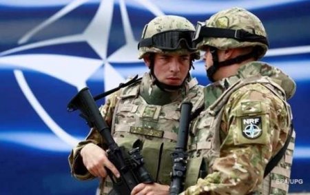 «Удивительная глупость!» — американский политолог высказался об учениях НАТО «Анаконда-2016» вблизи границ с РФ