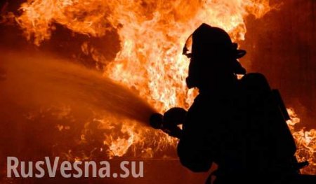 МЧС ЛНР продемонстрировало новейшую спасательную технику, полученную из России (ФОТО)