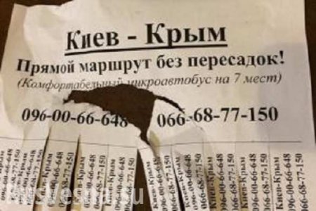Зрада: Киевляне ездят на отдых в «оккупированный» Крым (ФОТО)