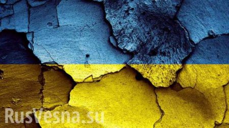 Десять внешнеполитических поражений Украины за одну неделю (ФОТО, ВИДЕО)