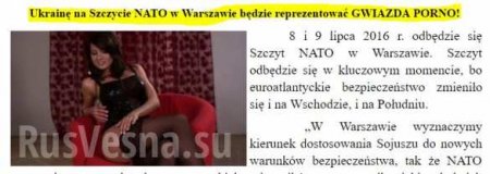 Скандал: Порнозвезда и любовница Порошенко представляет Украину в НАТО, — польские СМИ (ФОТО)