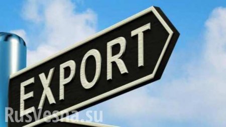 Египет испугался иметь дело с украинскими экспортерами