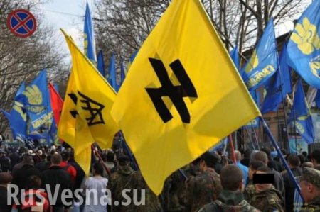 «Нож в спину украинской нации», — неонацисты шокированы решением Сейма по «Волынской резне»
