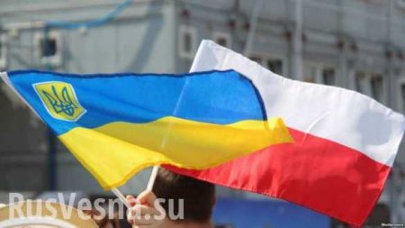 Украина и Польша готовят совместную политическую декларацию