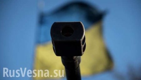 ОБСЕ не обнаружили 26 гаубиц в местах хранения вооружения ВСУ, — Народная милиция ЛНР