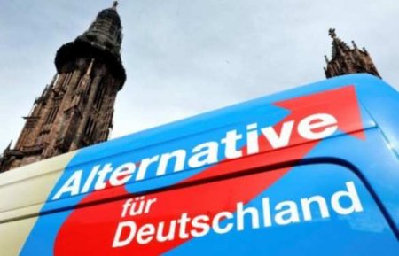 Число сторонников «Альтернативы для Германии» бьет рекорды