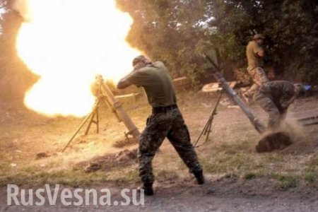 Накануне первого разведения сил ВСУ обстреляли территорию ДНР из тяжелого вооружения