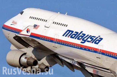 Россия обратила внимание следствия на роль Украины в катастрофе MH17