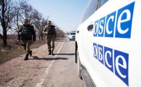 ОБСЕ: сорван контроль за разведением сил в районе Петровского-Богдановки
