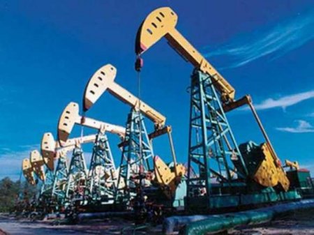 Стоимость нефти продолжила свой рост