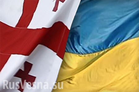 Развод Украины и Грузии: кто кого колонизировал?