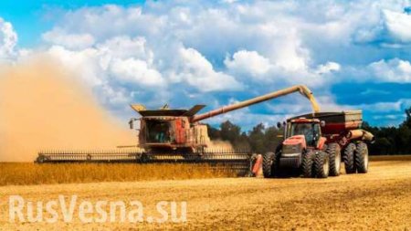 Россия ставит целую серию рекордов в сельском хозяйстве