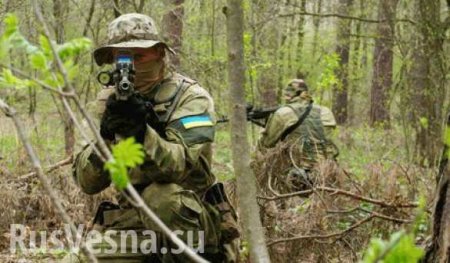 Силы ДНР пресекли попытку переброски украинских диверсантов через линию фронта под Марьинкой